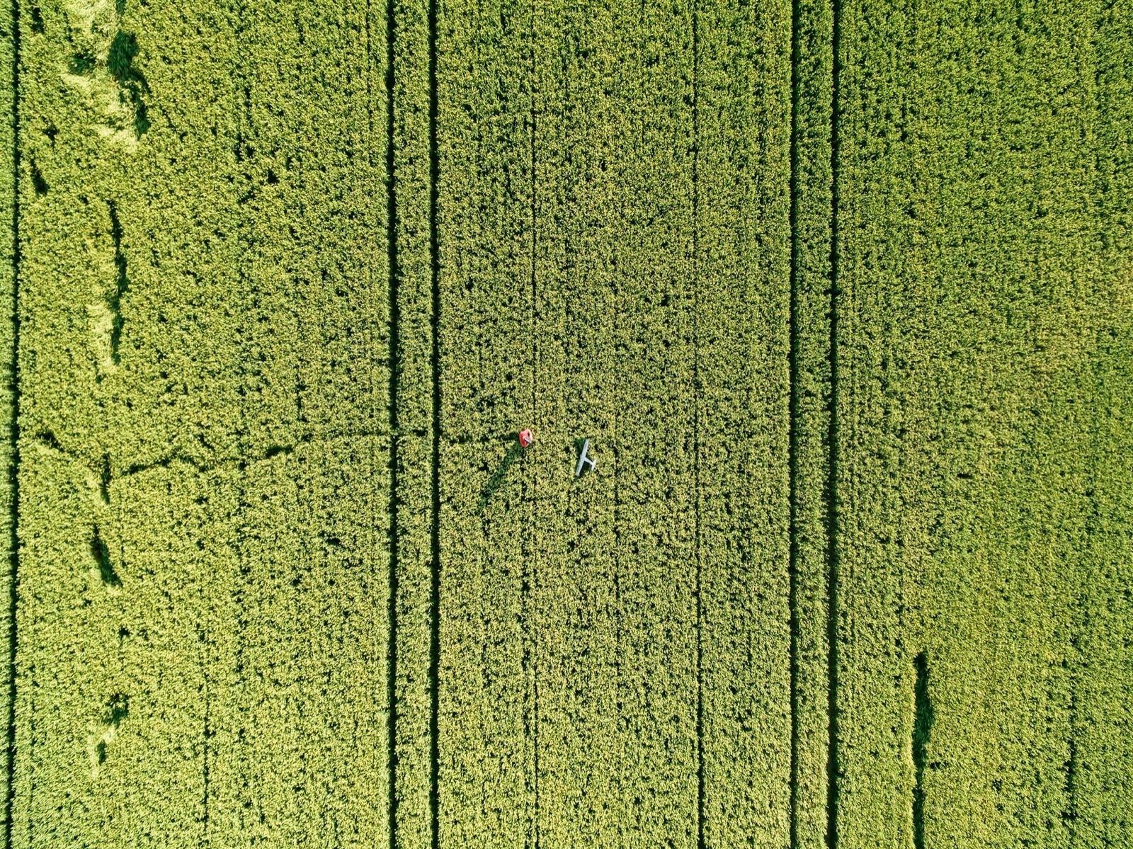 Aerial view of a patchwork of farmed fields